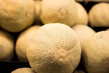 Fresh isolated melon