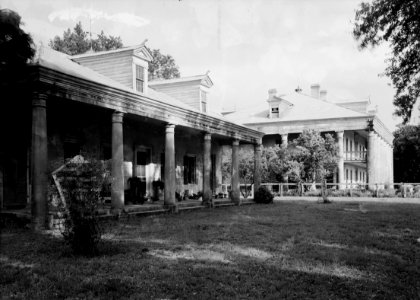 Uncle Sam Plantation 10