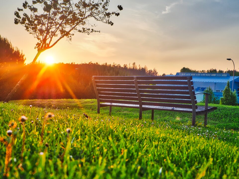 Outdoor nature view