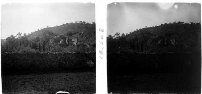 Una part de l ' hort de la cartoixa de Santa Maria d ' Escaladei