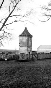 Uncle Sam Plantation 08