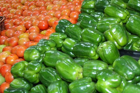 Supermarket grocery green grocery photo