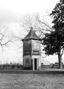 Uncle Sam Plantation 09
