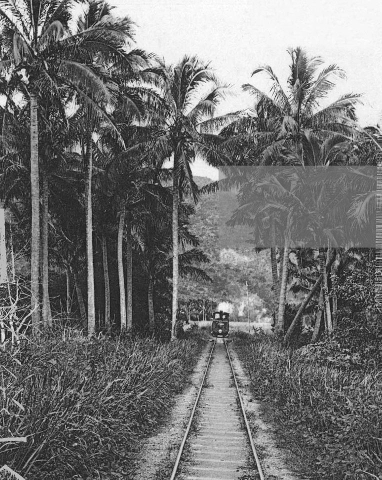 Une des nombreuses locomotives de Thio traversant la mission catholique