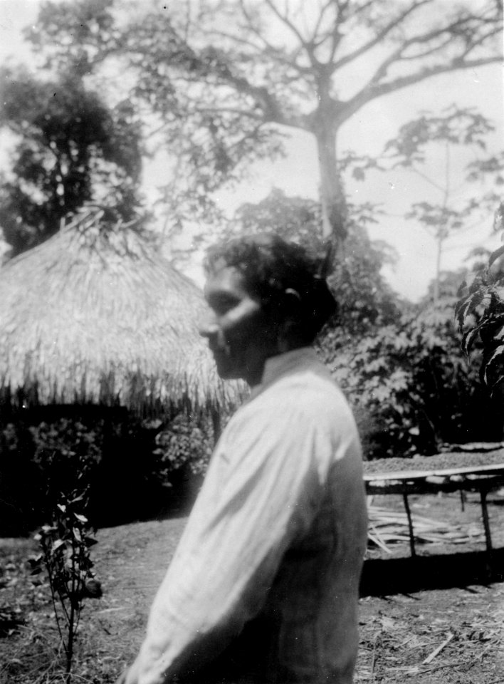 Underhövdingen Chiquin. Profil. Rio Caimanes. Colombia - SMVK - 004501