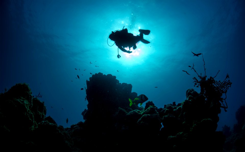 Underwater Photo Team 140728-N-YD328-119