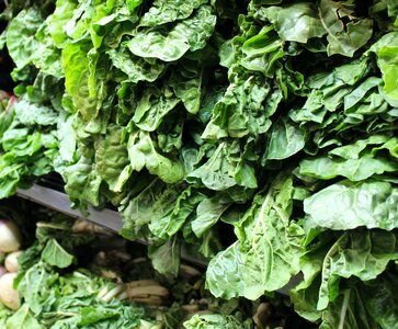 Greens food market supermarket
