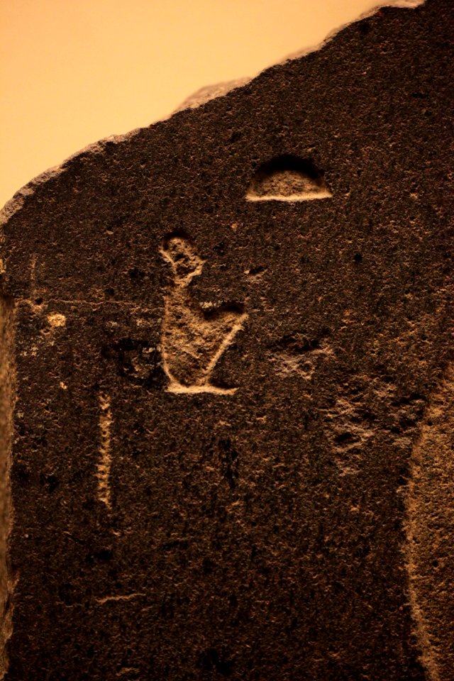 Unfinished bas-relief of a male head-MAHG-Eg 26-IMG 1595