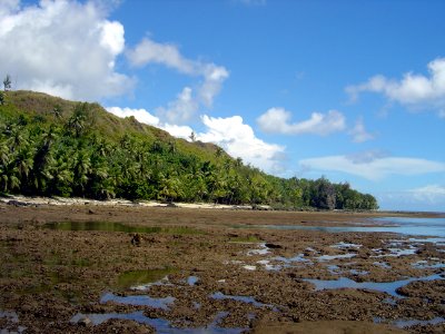 Uncovered reef flat at low tide on the Guam coastline (line381745909)