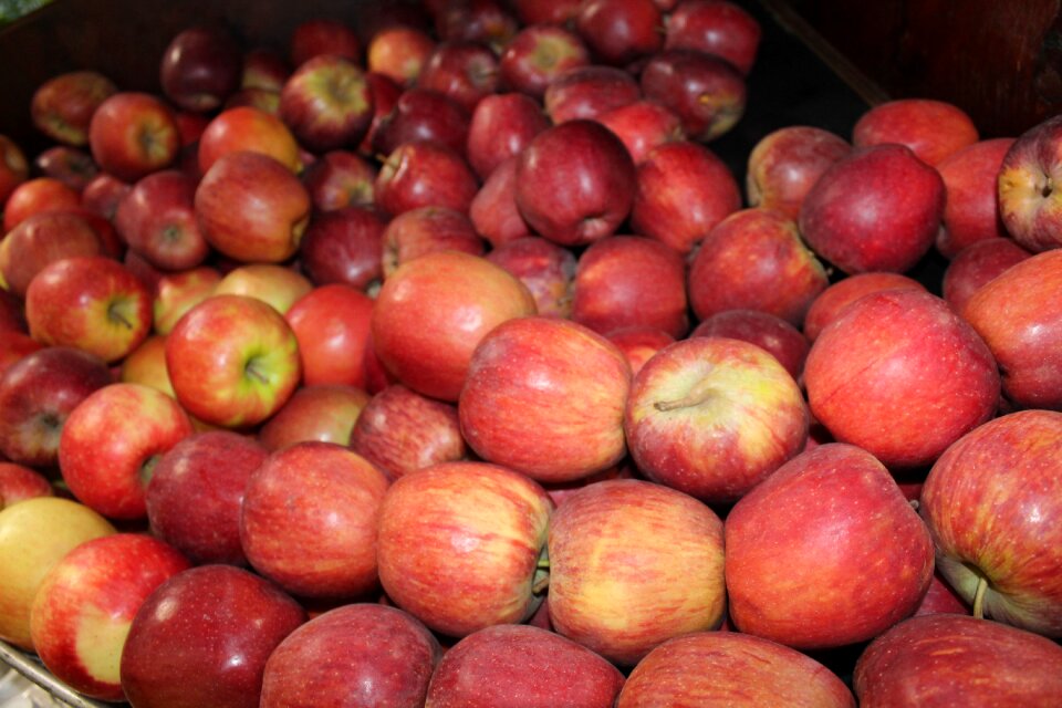 Super market healthy grocery