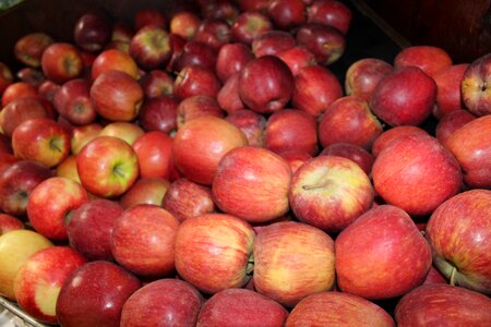 Super market healthy grocery