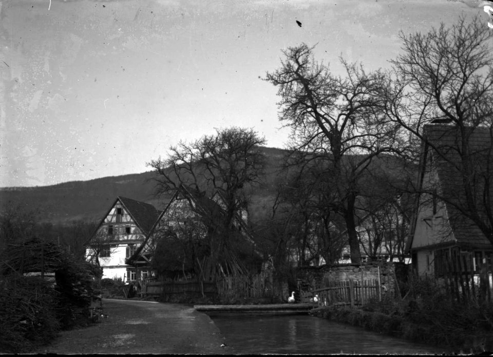 Unidentified C S Langbein HStAS J 317 Nr 12 Bild 8