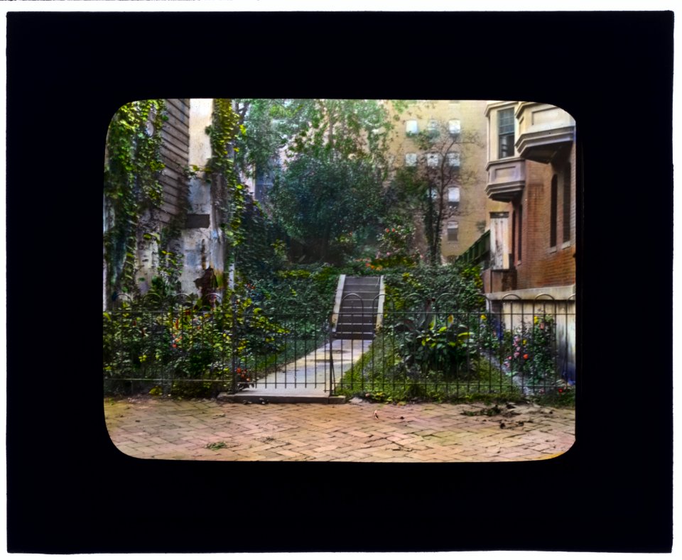 Unidentified city garden, probably New York, New York. Stairway LCCN2007685060