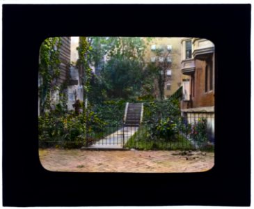 Unidentified city garden, probably New York, New York. Stairway LCCN2007685060
