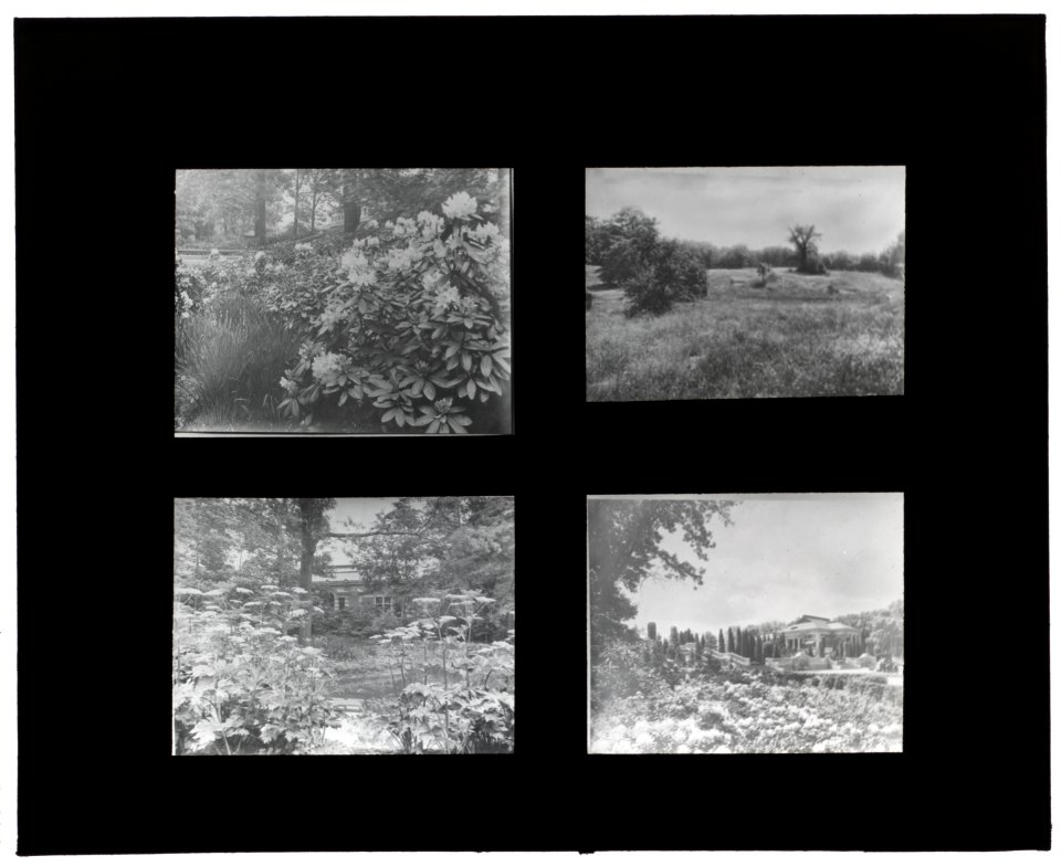 Unidentified houses and gardens. Rhododendron, field, and buildings in gardens LCCN2007686304