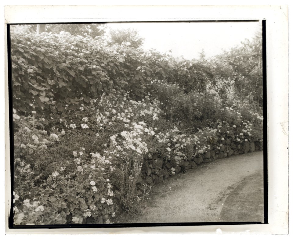 Unidentified house and garden. Flowers along driveway LCCN2008680134