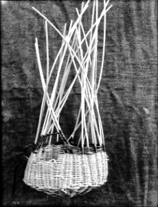 Unidentified Indian basket on display, ca.1900 (CHS-3973)