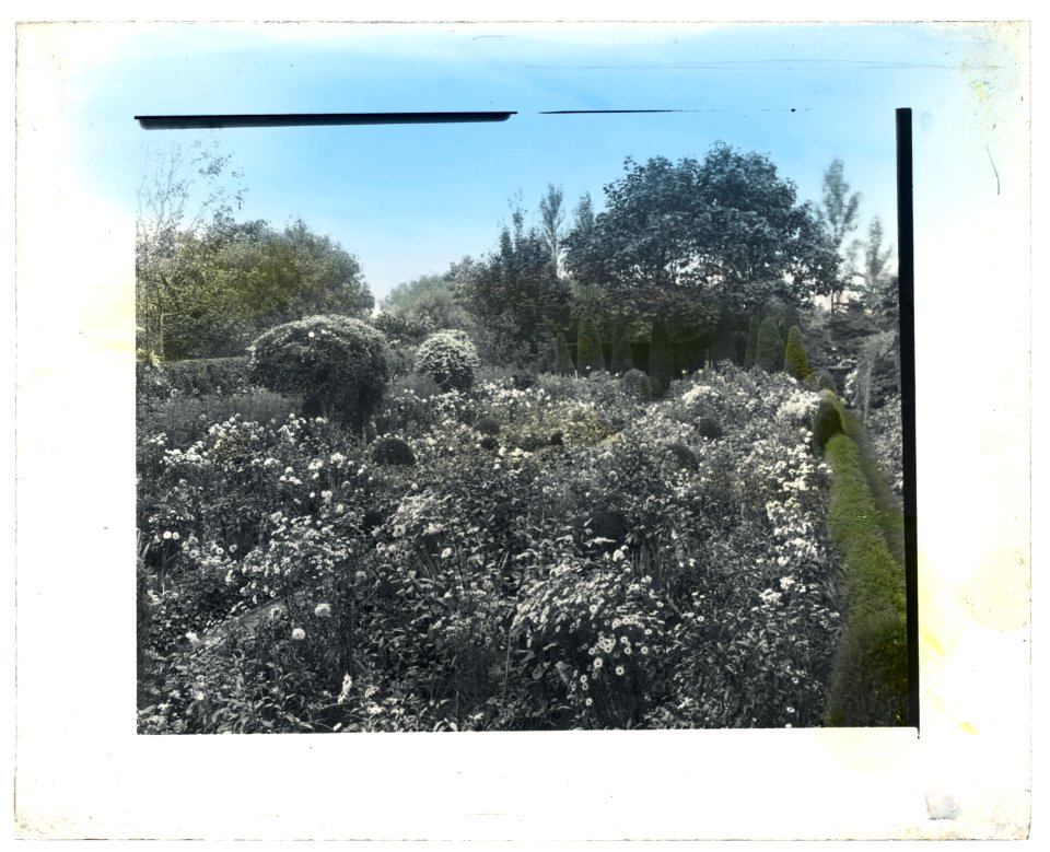 Unidentified house and garden, probably Virginia. Flower garden with boxwood border LCCN2008680126