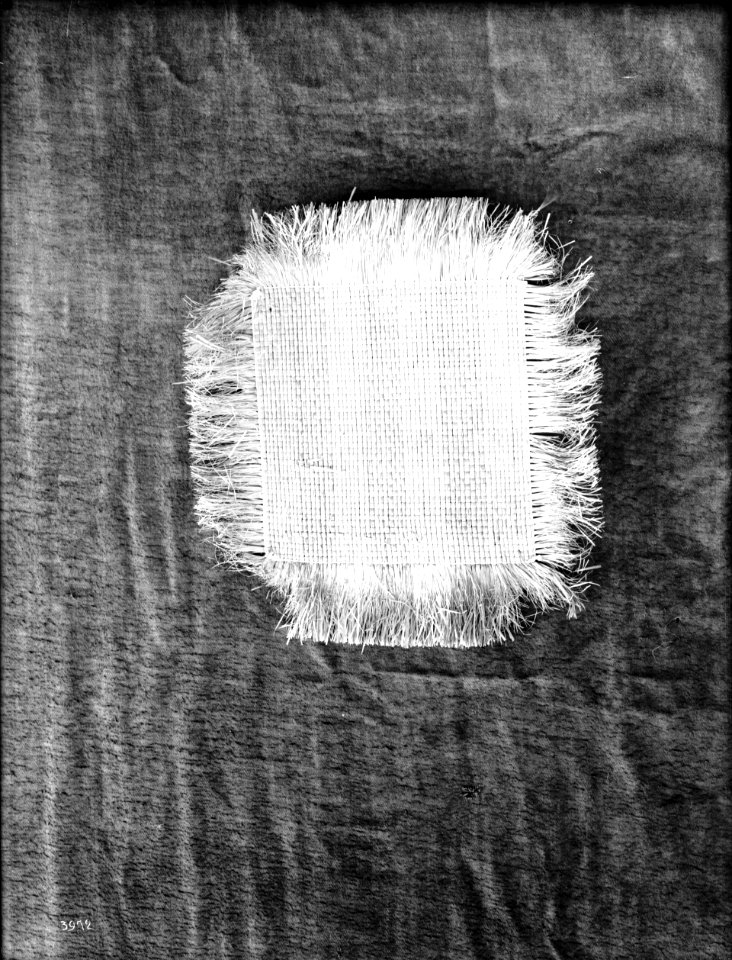 Unidentified Indian mat on display, ca.1900 (CHS-3972)