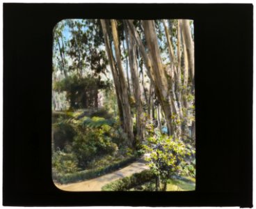 Unidentified house, possibly Pasadena, California. Eucalyptus and pavilion LCCN2007685024