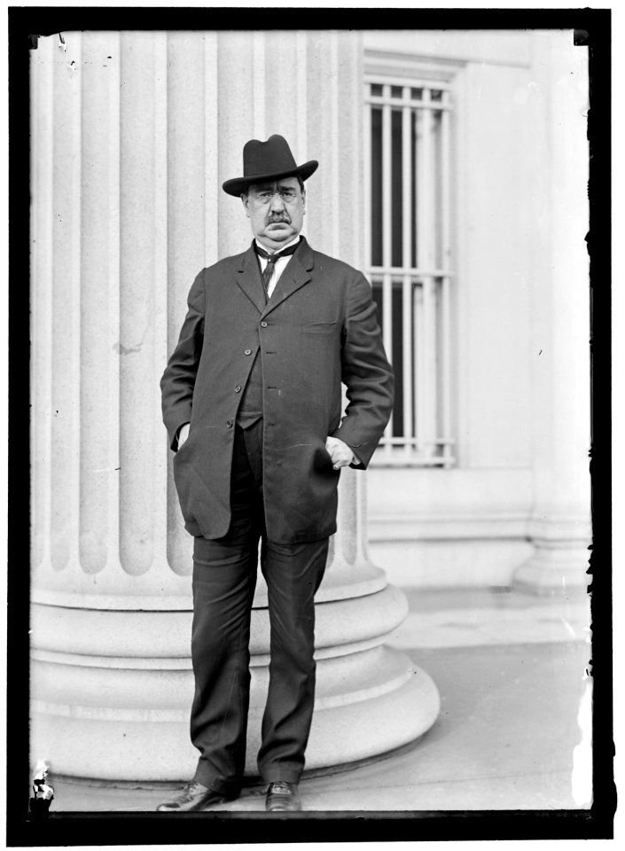 Unidentified man, possibly congressman or public official LCCN2016864202
