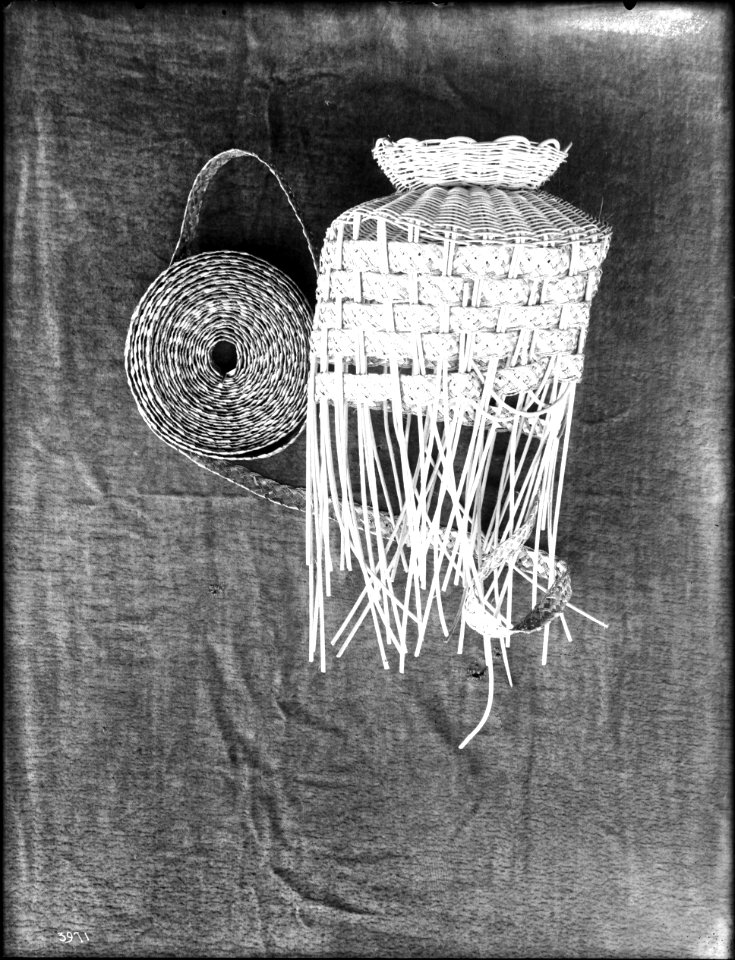 Unidentified Indian basket under construction on display, ca.1900 (CHS-3971)