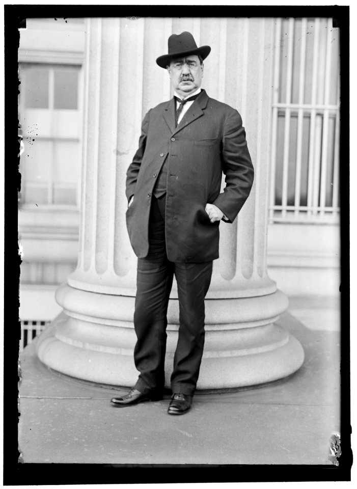 Unidentified man, possibly congressman or public official LCCN2016864201