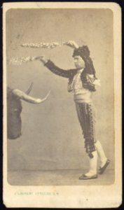 Unidentified matador, full-length portrait, facing left, standing in front of the head of a bull) - J. Laurent Photog. De. S. M LCCN2005677238