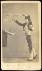 Unidentified matador, full-length portrait, facing left, standing in front of the head of a bull) - J. Laurent Photog. De. S. M LCCN2005677238 photo