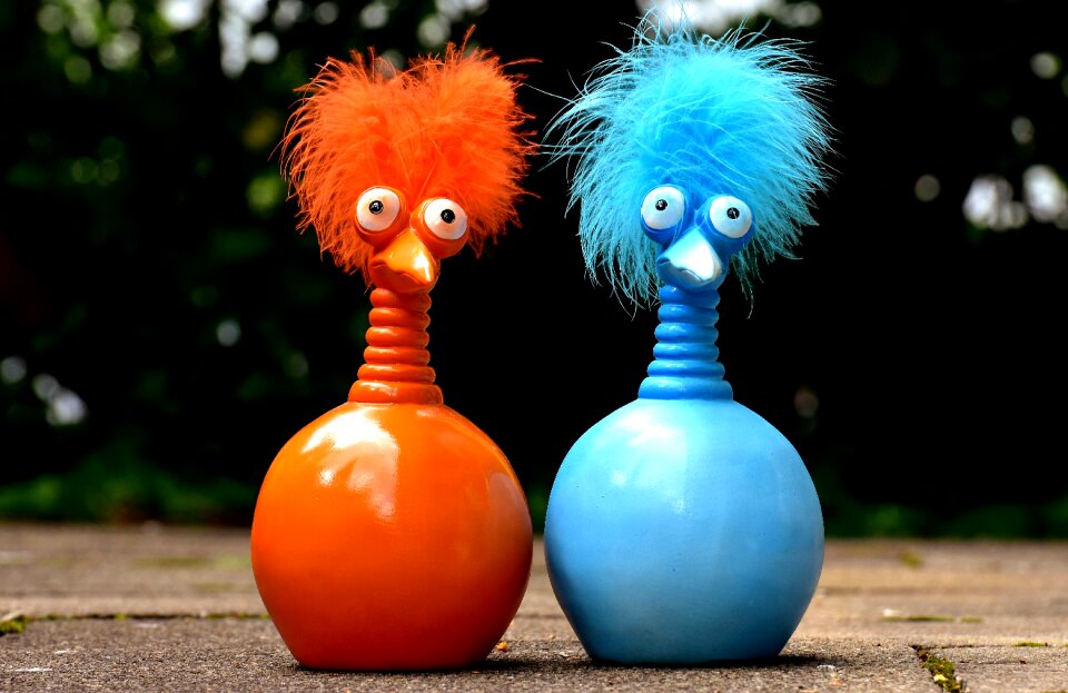 Funny weird bird cute