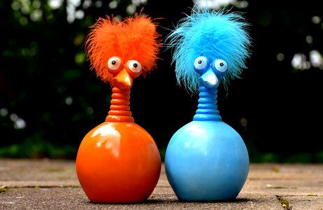 Funny weird bird cute