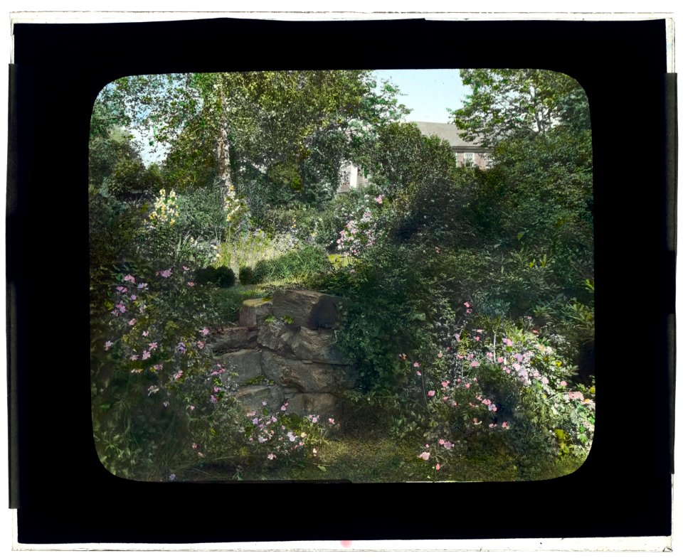 Unidentified shingle house. Garden with stone steps LCCN2008676044