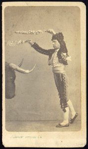 Unidentified matador, full-length portrait, facing left, standing in front of the head of a bull) - J. Laurent Photog. De. S. M LCCN2005677238 photo