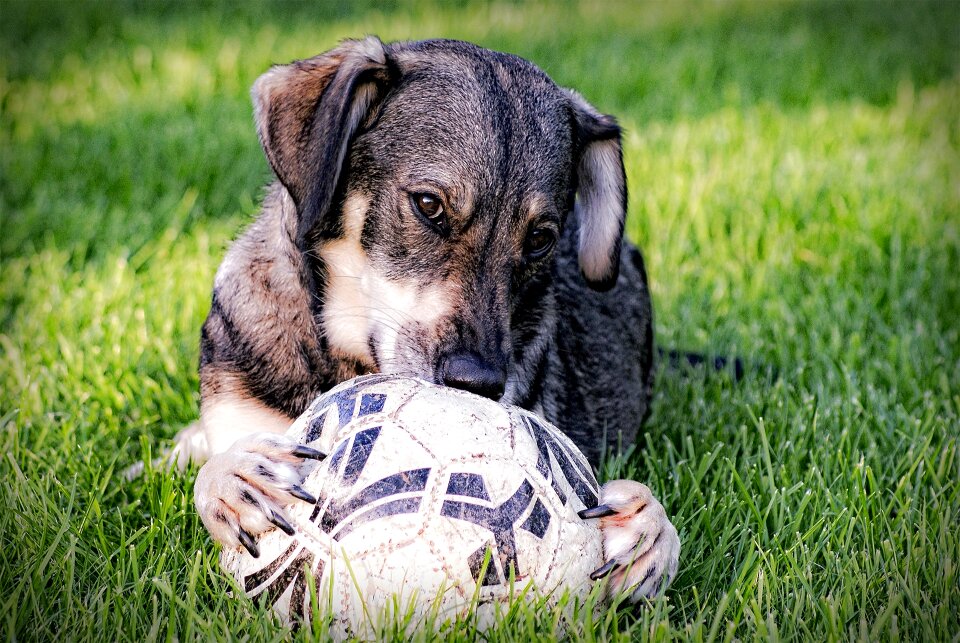 Play cute fun