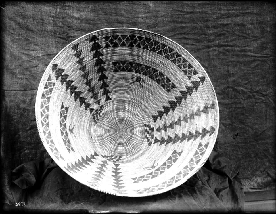 Unidentified Indian basket on display, ca.1900 (CHS-3977)