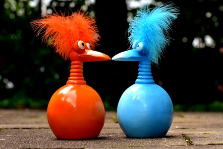 Funny weird bird cute