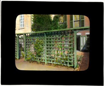 Unidentified townhouse garden, probably in New York, New York. Lattice fence LCCN2008675968