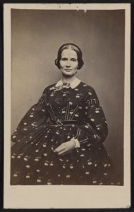 Unidentified woman, possibly a nurse, during the Civil War) - Bell & Brother, photographers, 480 Pennsylvania Av., Washington, D.C LCCN2012646202