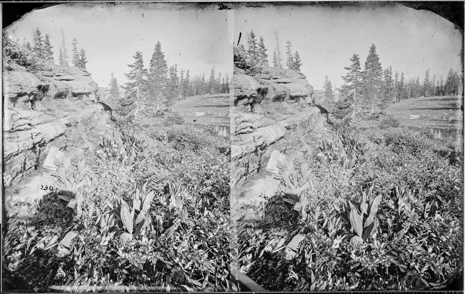 Unidentified, Uinta Mountains ^ Utah - NARA - 519662