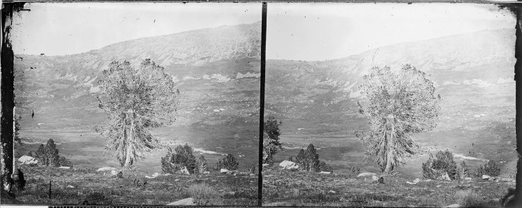 Unidentified, East Humboldt Mountains ^ Nevada - NARA - 519619