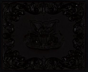 Union case manufactured by Littlefield, Parsons & Co. showing eagle with Union shield and military weaponary with scroll embellishments LCCN2010650248