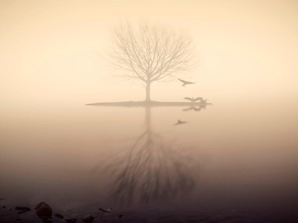 Mirroring silhouette mood