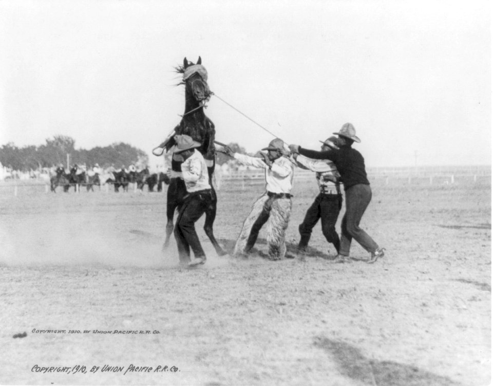 Unruly Butcher Bob, Cheyenne Frontier Days LCCN2003690398