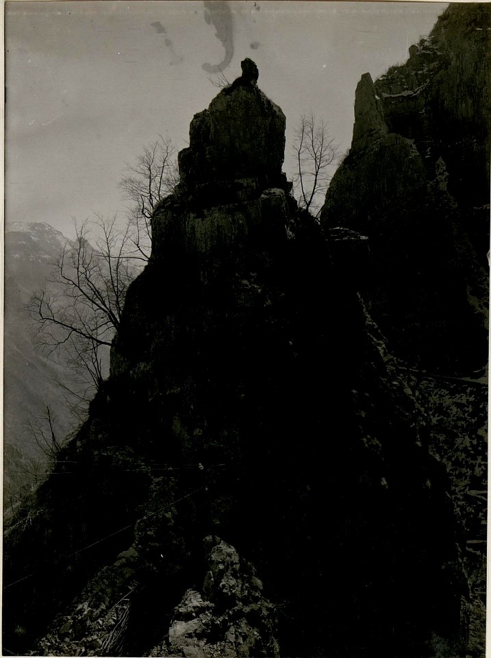 Unsere 2-te Linde im Riofreddo Tale. (BildID 15515849)