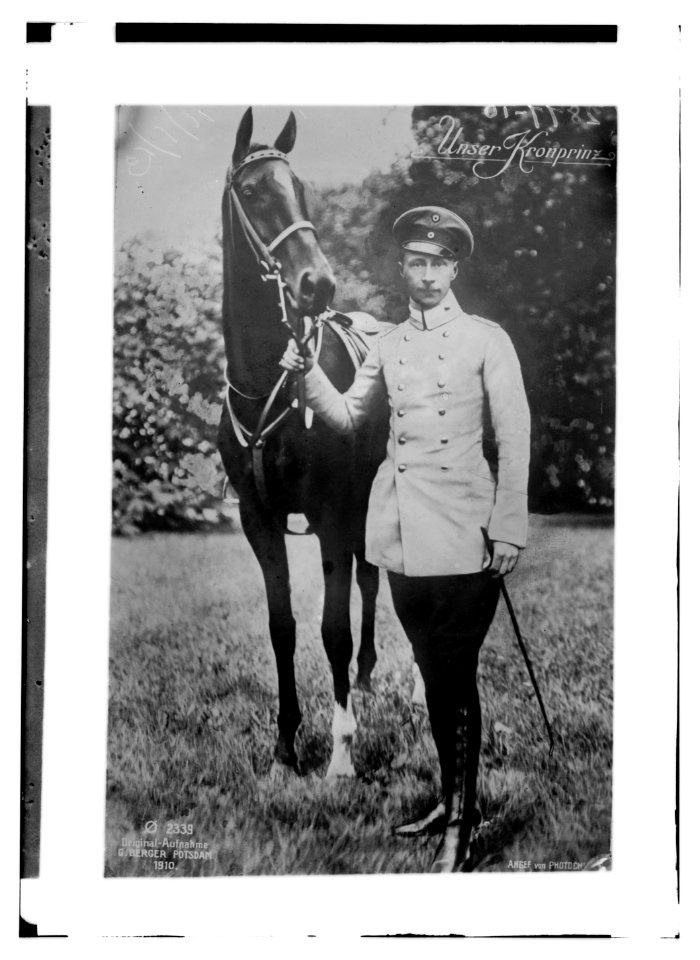 Unser Kronprinz LCCN2014694567
