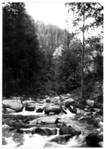 Unser Land 1925 B18, kleine Kinzig unterh Reinerzau, von der Trappen