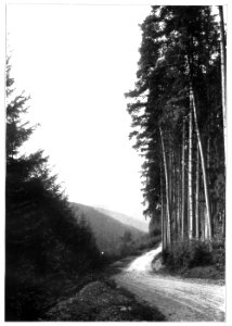 Unser Land 1925 B19, Der Eingang zum Schwarzwald, von der Trappen