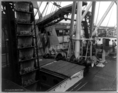 Unloading bananas from a ship, by means of a conveyor LCCN2004677192 photo