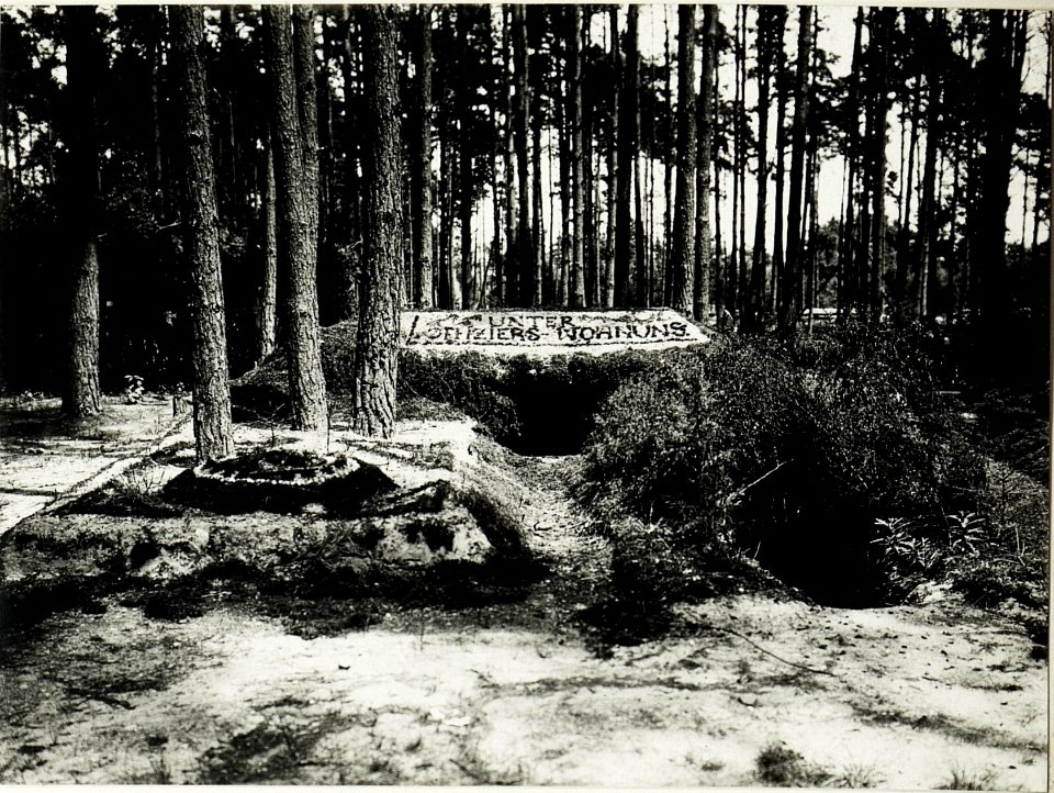 Unteroffiziersunterkünfte des k.u.k. Dragonierregiments Obst Serda im Wald westlich Rozensk. (BildID 15589747)