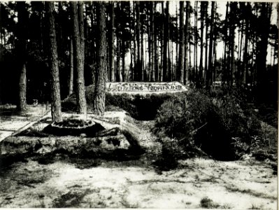 Unteroffiziersunterkünfte des k.u.k. Dragonierregiments Obst Serda im Wald westlich Rozensk. (BildID 15589747)